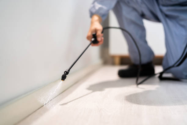 Certified termite inspector examining foundation in Coker